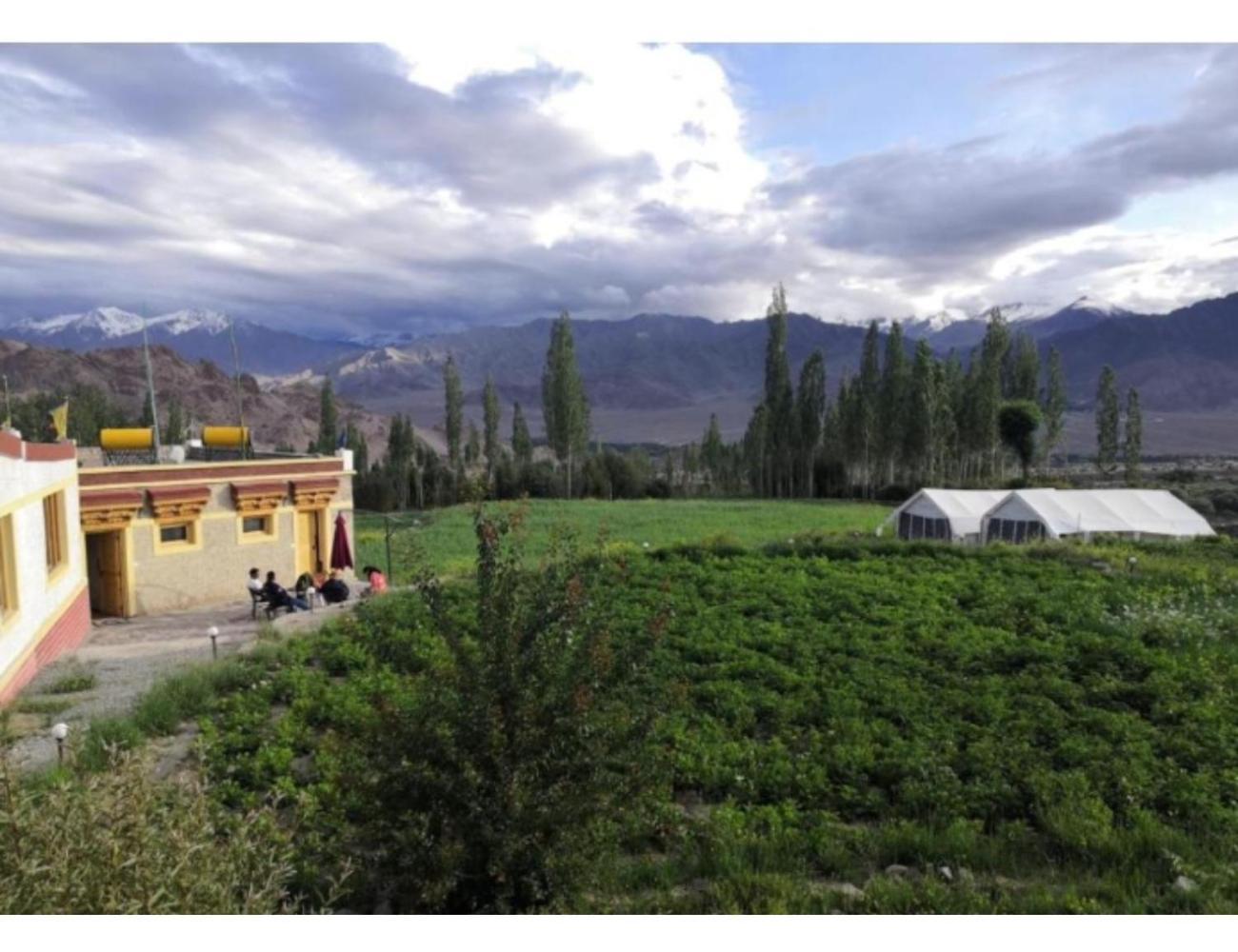 Kartok Resort, Leh She Exterior photo